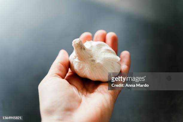 human hand holding garlic. - garlic ストックフォトと画像