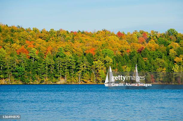 autumn beauty - eastern townships quebec stock pictures, royalty-free photos & images