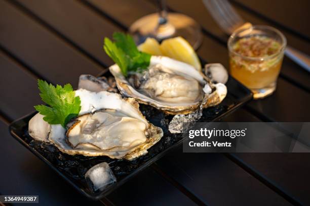 fresh oysters - oysters stockfoto's en -beelden