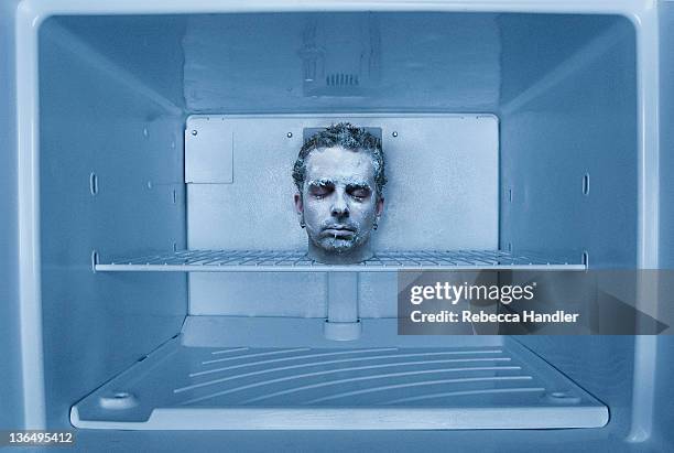 human head in freezer - koelkast stockfoto's en -beelden