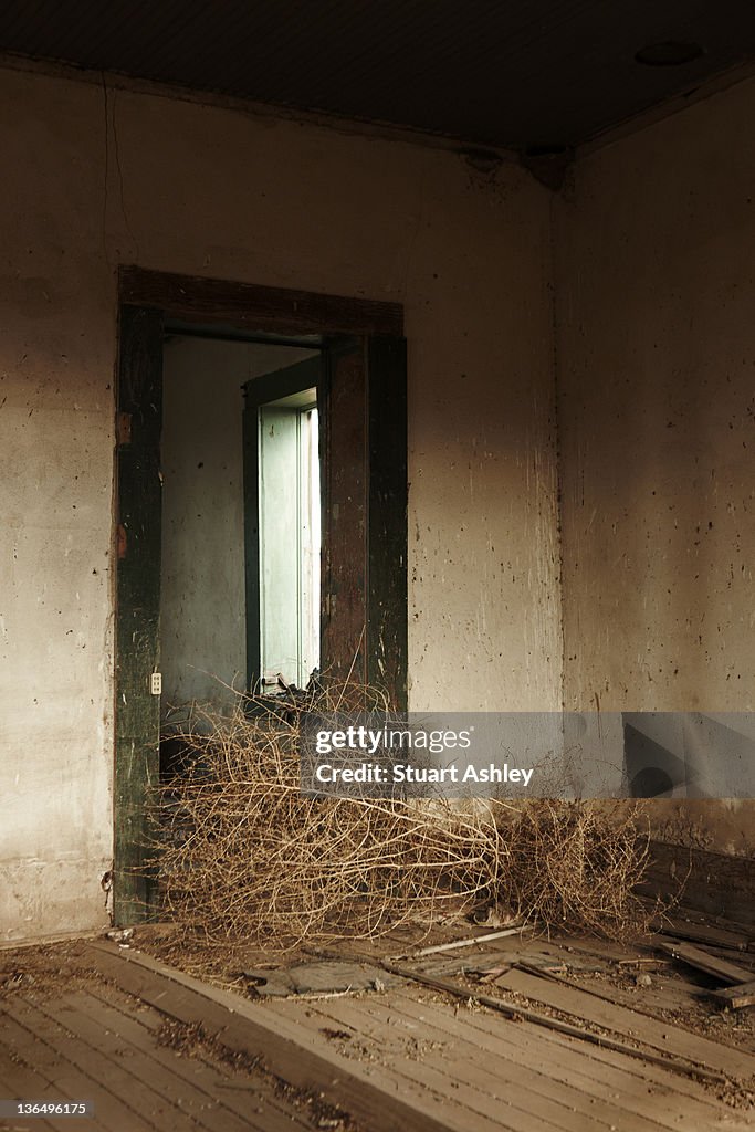 Tumbleweed in house