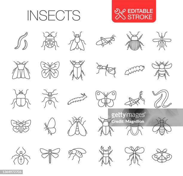 insekten icons set bearbeitbarer strich - wirbelloses tier stock-grafiken, -clipart, -cartoons und -symbole