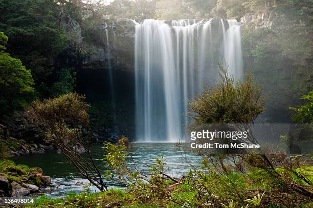 rainbow falls, kerikeri - bay of islands new zealand stock pictures, royalty-free photos & images