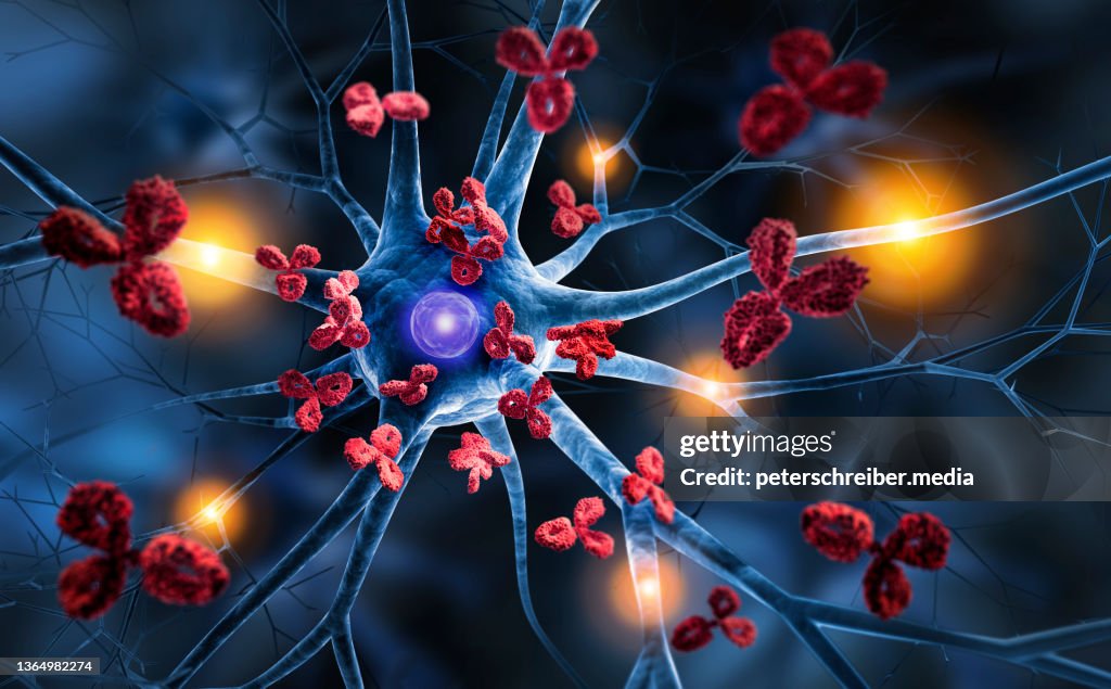 Nerve cell attacked by Antibodies