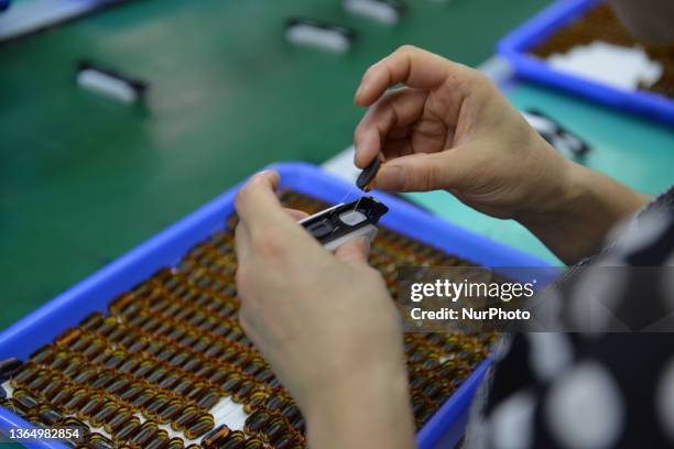 Linquan 455 Linquan Stock Photos, High-Res Pictures, and Images - Getty Images