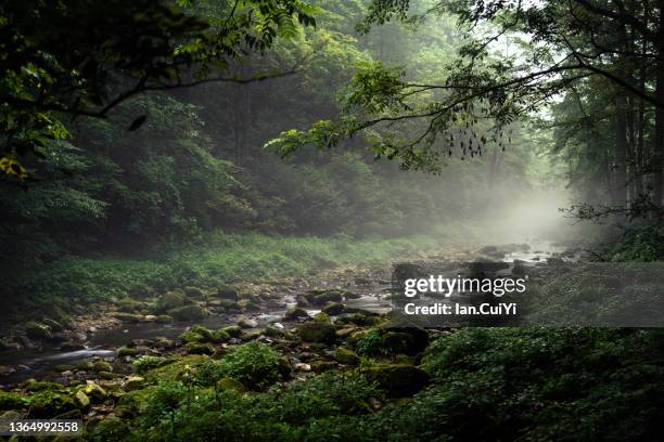 zhangjiajie national forest park - klippe stock-fotos und bilder