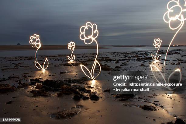 light painting photography flowers on beach - lichtspur stock-fotos und bilder