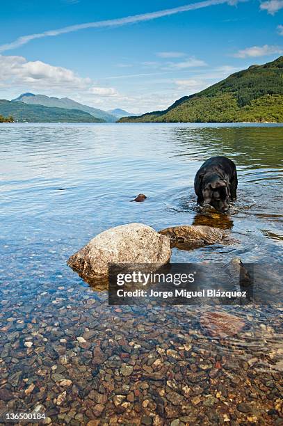 loch lomond - jorge miguel blázquez fotografías e imágenes de stock