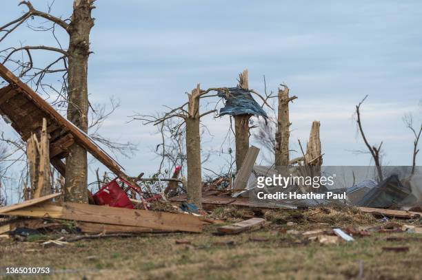 siding and metal debris in trees damaged after tornado - kentucky road stock pictures, royalty-free photos & images