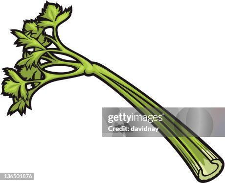 Celery Stick Celery Stick