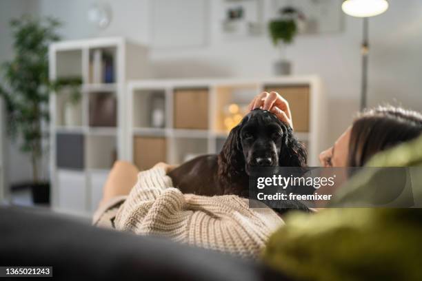 woman lying on sofa in living room with her little dog - dog indoors stock pictures, royalty-free photos & images