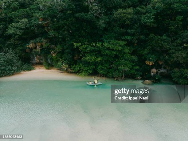 aerial view of kayak on mangrove river, okinawa, japan - kyushu stock-fotos und bilder