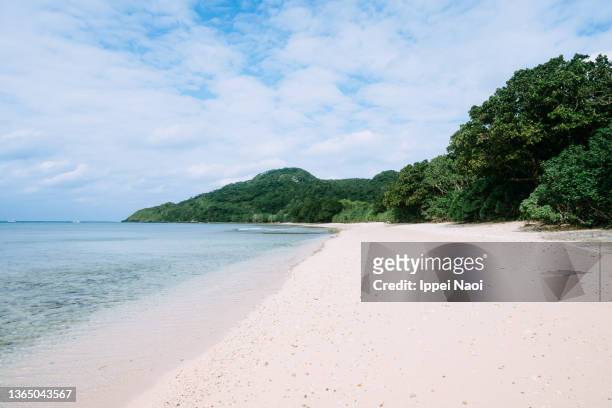 idyllic white sand tropical beach, ishigaki island, okinawa, japan - japan beach stockfoto's en -beelden