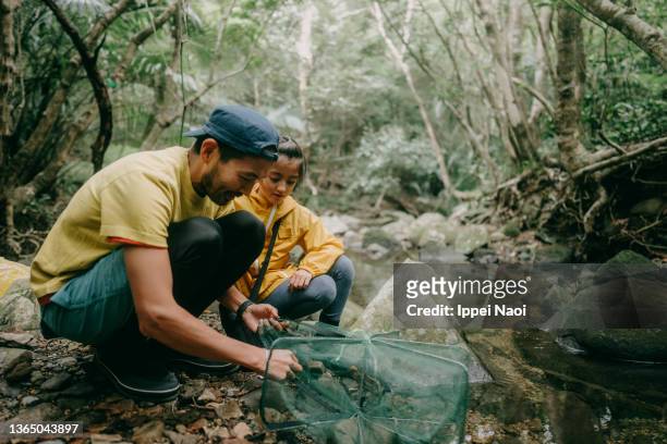 father and child setting up fish trap in river in forest - asian family fall stock-fotos und bilder