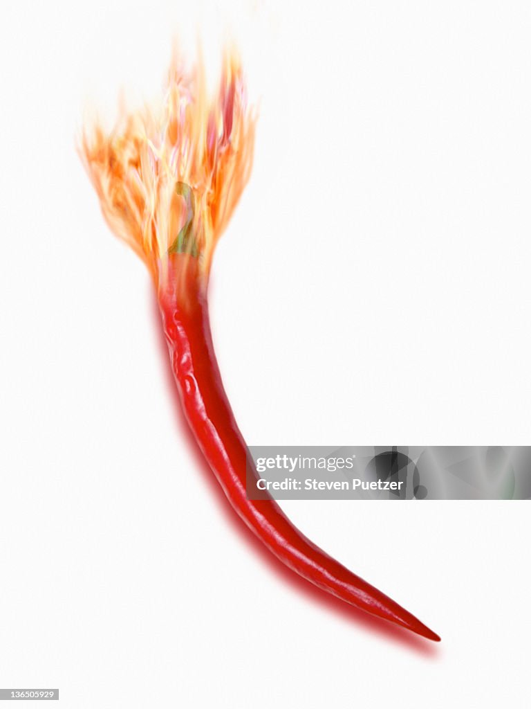 Hot red chili pepper on fire