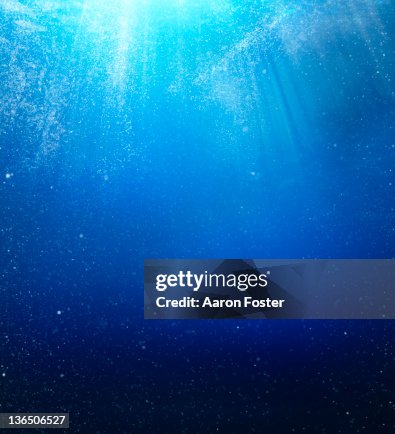 6 522点の海中イラスト素材 Getty Images 6 522点の海中イラスト素材 Getty Images
