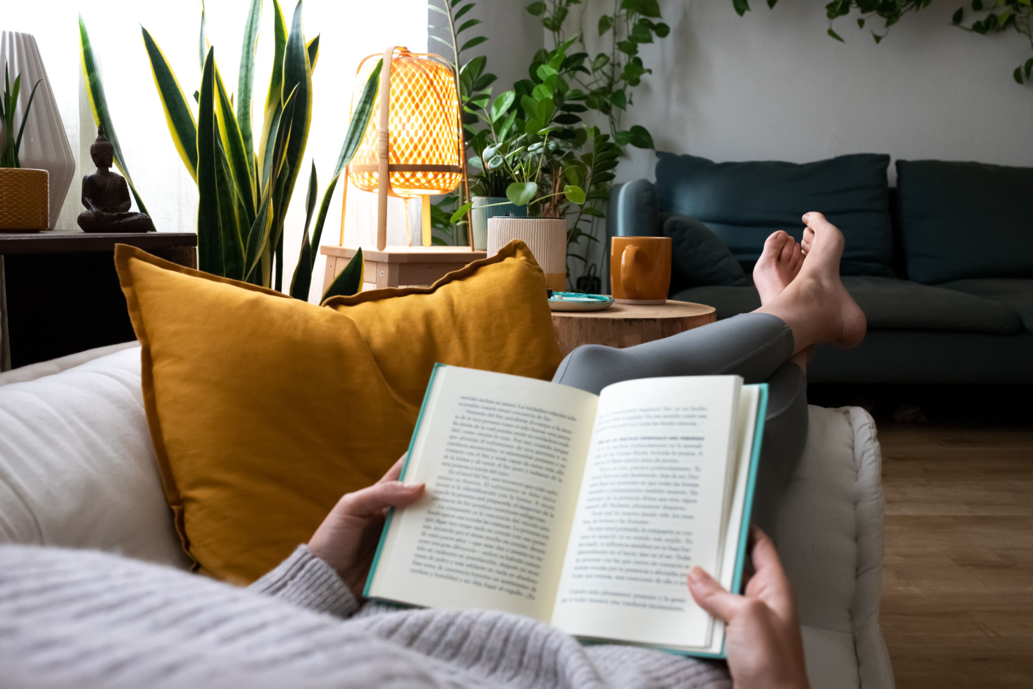 comfortable reading space