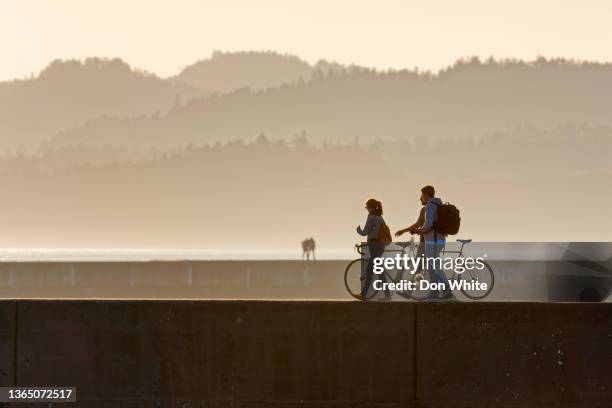 ビクトリア、バンクーバー島 - groyne ストックフォトと画像