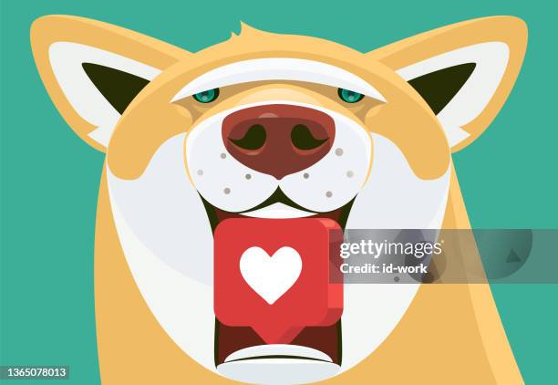 66点の柴犬イラスト素材 Getty Images 66点の柴犬イラスト素材 Getty Images