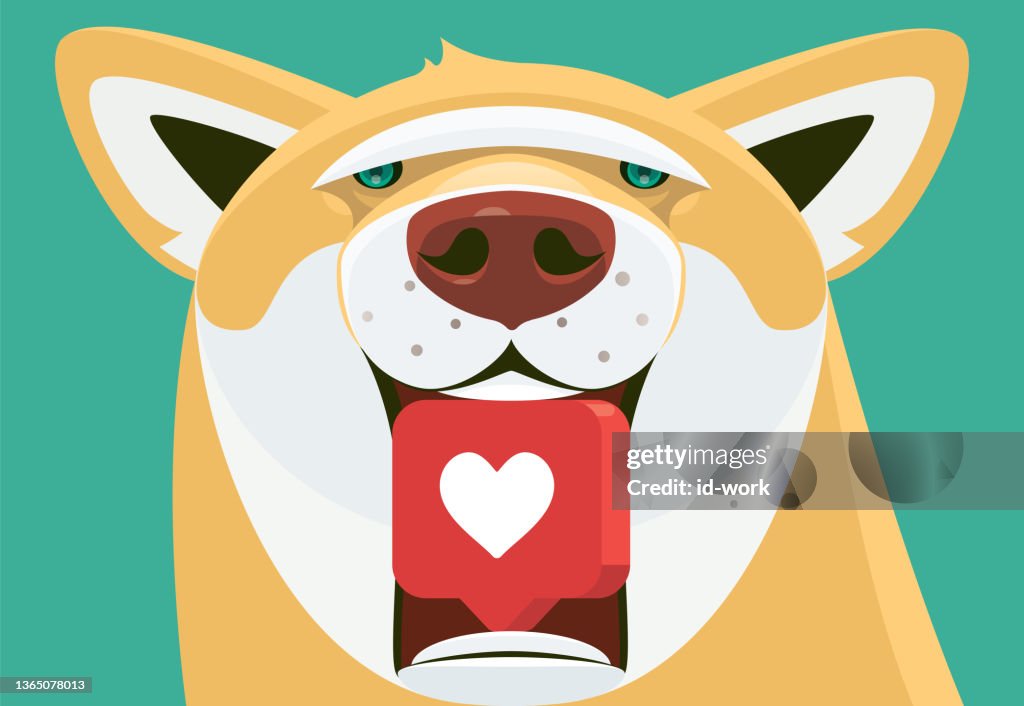 Dog holding like icon