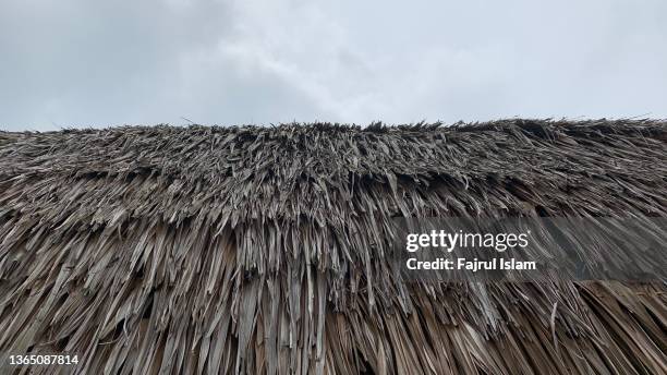 coconut leaf roof texture - leaf on roof stockfoto's en -beelden