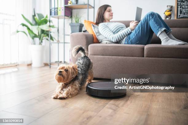 frau und hund entspannen sich im wohnzimmer, während der roboter staubt. - saugen stock-fotos und bilder