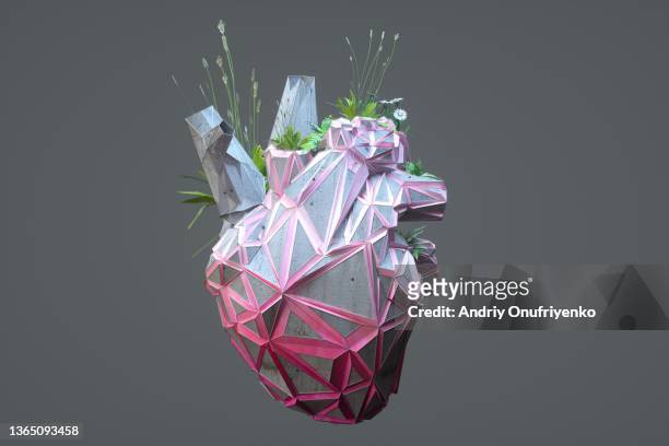 nature heart - fragility symbol stock pictures, royalty-free photos & images