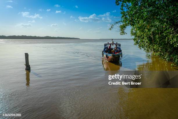 water taxi in suriname - táxi aquático imagens e fotografias de stock