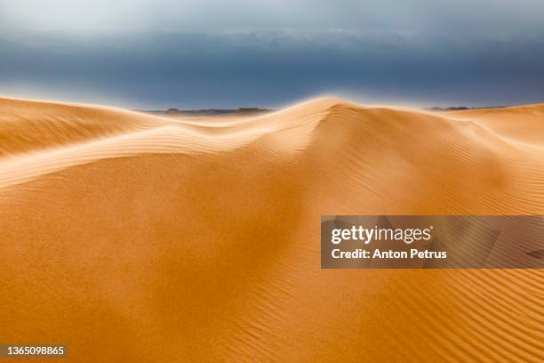 strong wind at sunset over the sand dunes in the desert. sandstorm in the sahara desert - white desert stock pictures, royalty-free photos & images