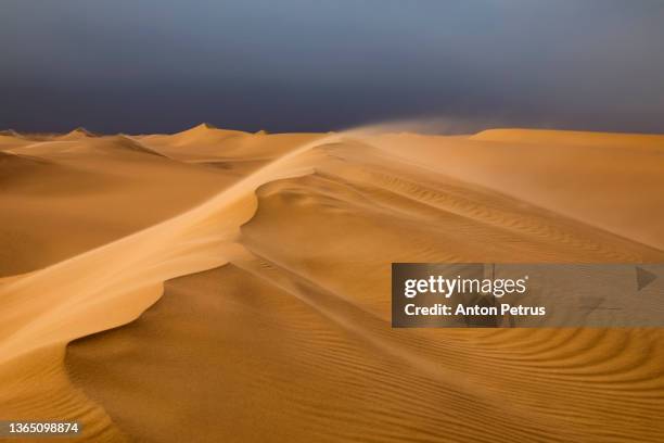 strong wind at sunset over the sand dunes in the desert. sandstorm in the sahara desert - sahara desert stock pictures, royalty-free photos & images