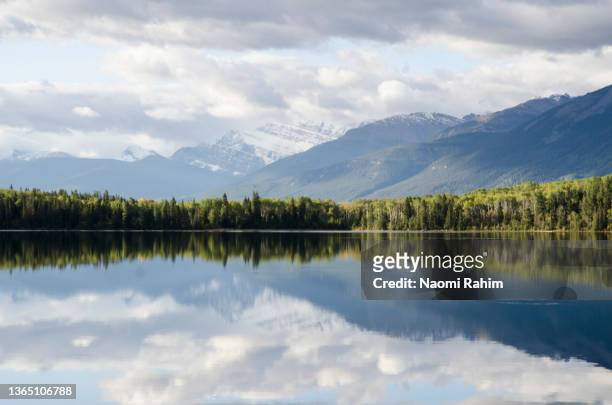 beautiful mountain landscape and lush pine forest reflecting in pyramid lake, jasper, canadian rockies - nordhalbkugel stock-fotos und bilder