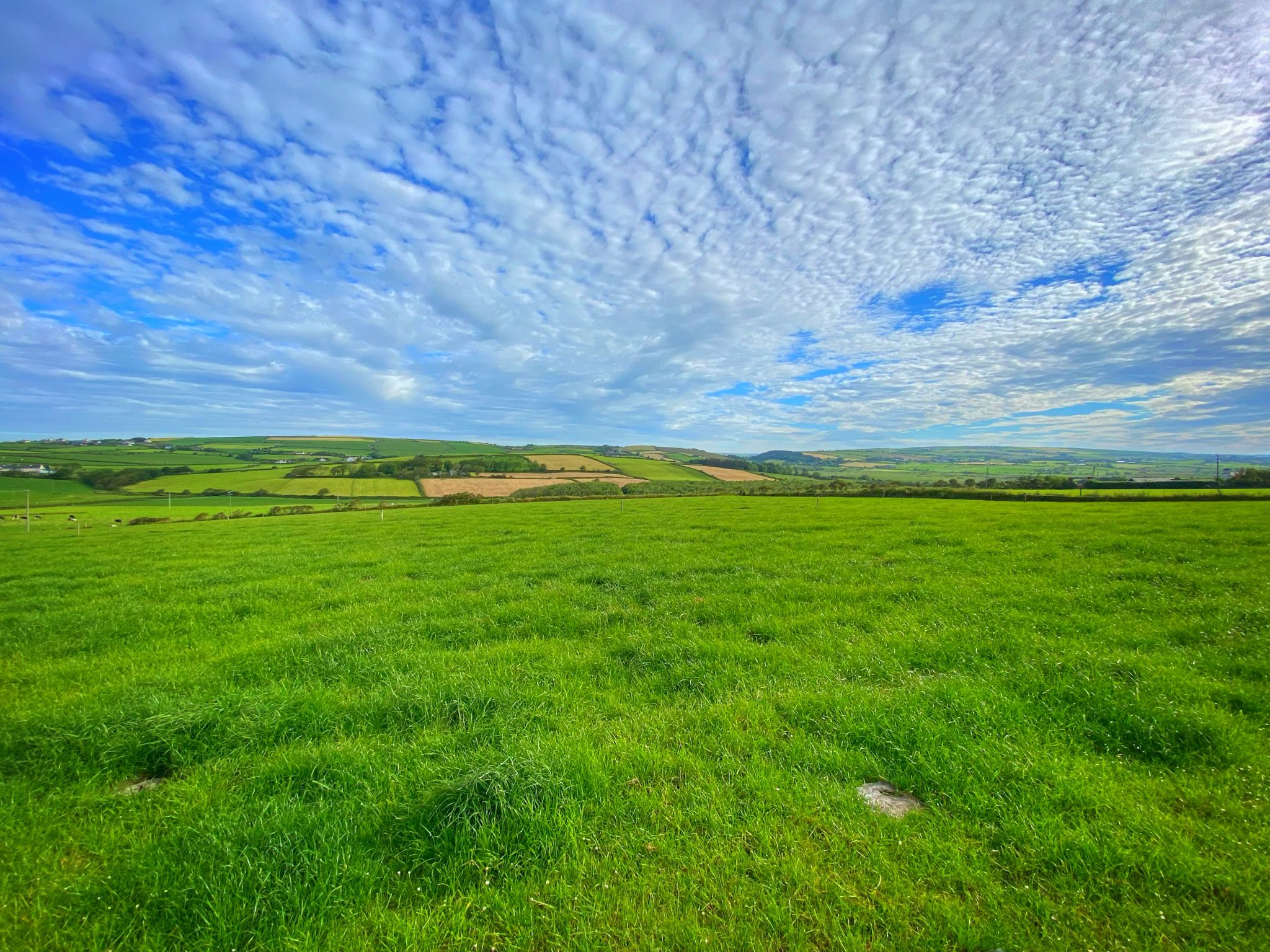 Typical Irish countryside of green grassy fields West Cork Ireland Typical Irish countryside of green grassy fields West Cork Ireland