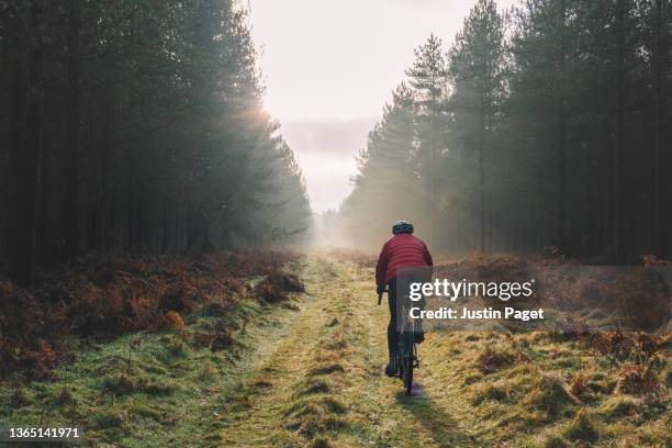 rear view of a cyclist on a forest trail - outdoor pursuit 個照片及圖片檔