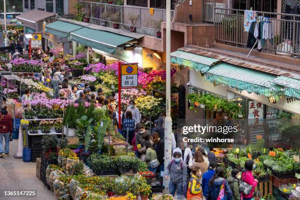 mong kok flower market in hong kong - kowloon stock pictures, royalty-free photos & images