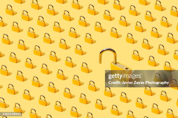many yellow padlocks on yellow background. one of them open. - schloss-abschließen stock-fotos und bilder