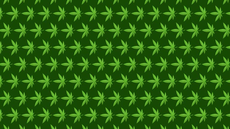 845 Cannabis Wallpaper Videos and HD Footage - Getty Images 845 Cannabis Wallpaper Videos and HD Footage - Getty Images