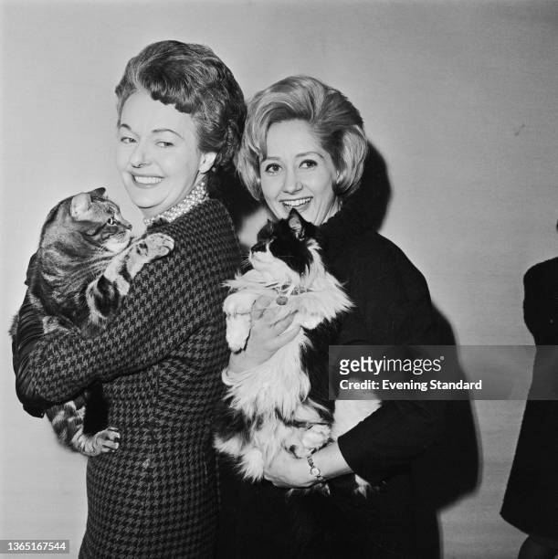 English actresses Betty Marsden and Liz Fraser auditioning a cat to star with them in a new play entitled 'Everybody Loves Opal' by John Patrick, UK,...