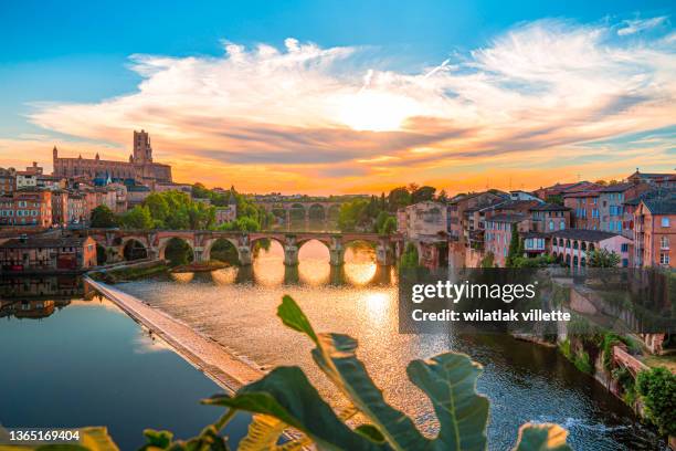 albi in a summer sunny day,france. - albi stock pictures, royalty-free photos & images