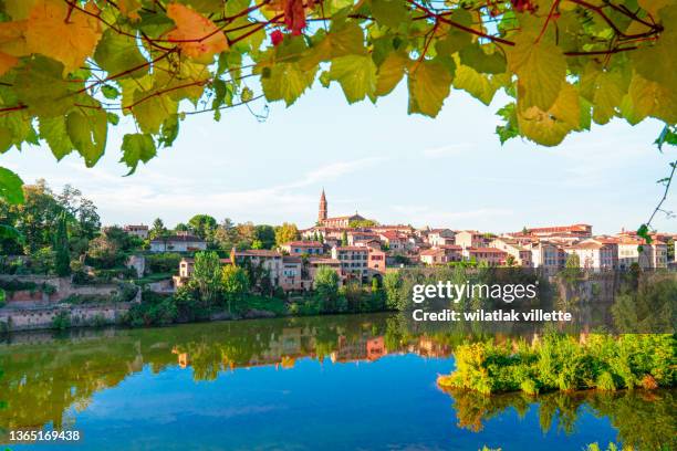 view at cathedral of saint cecilia of albi, france. early in the day and evening . - casa azzurri on tour toulouse foto e immagini stock