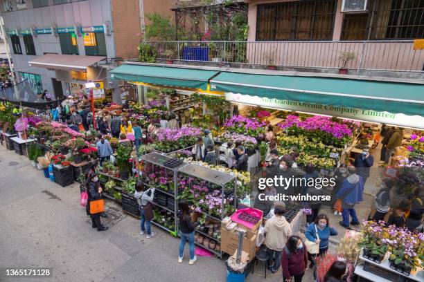 mercado de flores de mong kok en hong kong - mercado de flores fotografías e imágenes de stock
