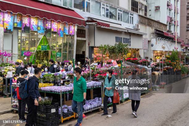 mong kok flower market in hong kong - kowloon stock pictures, royalty-free photos & images