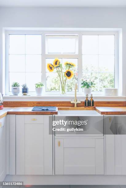 modern and bright domestic kitchen - kitchen sink bildbanksfoton och bilder