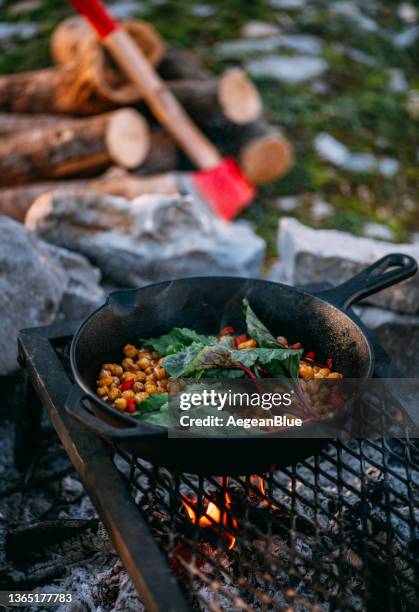 comida vegana en una sartén de hierro fundido - fuego al aire libre fotografías e imágenes de stock