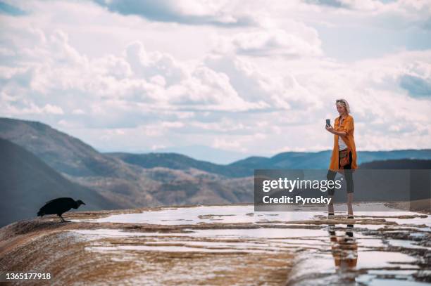 a woman photographing black vulture on the edge of a natural infinity pool with a breathtaking mountains view - photographing wildlife stock pictures, royalty-free photos & images