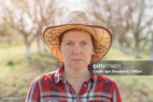 portrait of female farmer in organic walnut orchard,serbia - walnut farm stock pictures, royalty-free photos & images
