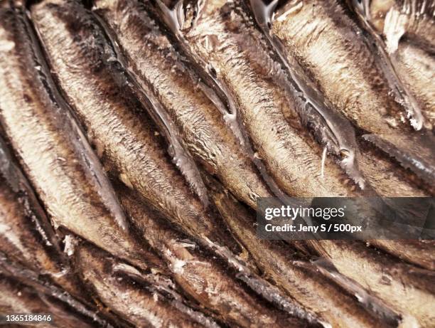 fish conserves,full frame shot of fish for sale in market - oily slippery stockfoto's en -beelden