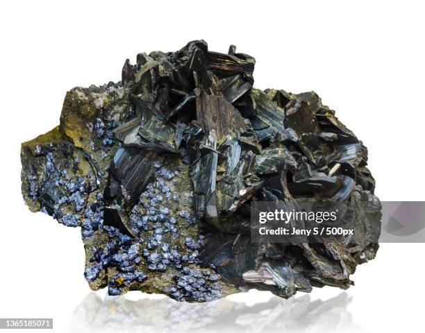 stock photo,close-up of dried seaweed over white background - tungsten metal stock-fotos und bilder