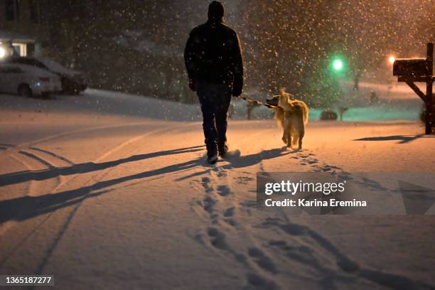 man-walking-dog - pittsburgh snow stock pictures, royalty-free photos & images