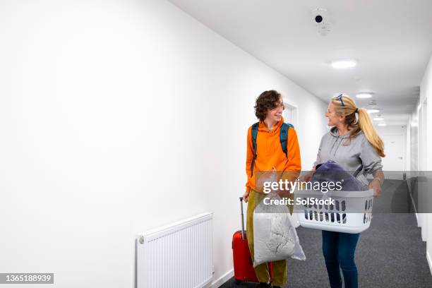 moving in with some help - student accommodation stock pictures, royalty-free photos & images