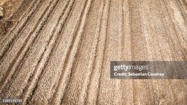 japanese sand zen garden, - ginkaku ji temple stock pictures, royalty-free photos & images